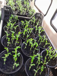 20230404_093107.jpg: