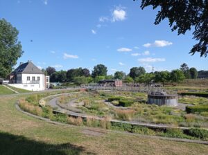 BernePark, Bottrop: Grüne Parklandschaft mit bepflanzten Becken, Fußwegen und Gebäuden im BernePark Bottrop bei Sonne