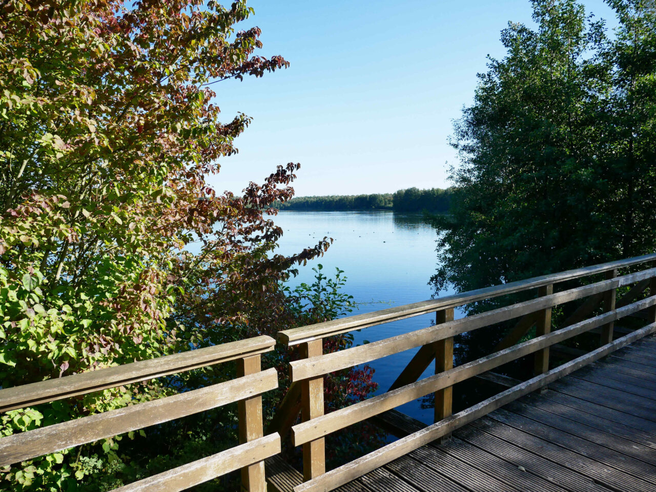 bottrop+von-duisburg-nach-raesfeld-x11+bild03.jpg: Holzsteg am klaren Seeufer, umgeben von dichtem Laub und ruhigem Wasser unter blauem Himmel.