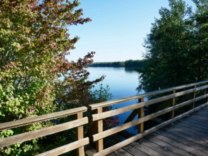 bottrop+von-duisburg-nach-raesfeld-x11+bild03.jpg: Holzsteg am klaren Seeufer, umgeben von dichtem Laub und ruhigem Wasser unter blauem Himmel.