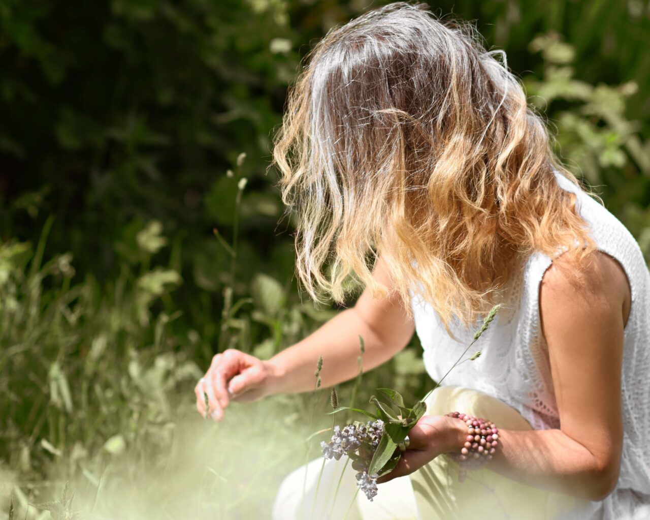 DSC_5394_copy_3902x5854[1].jpg: