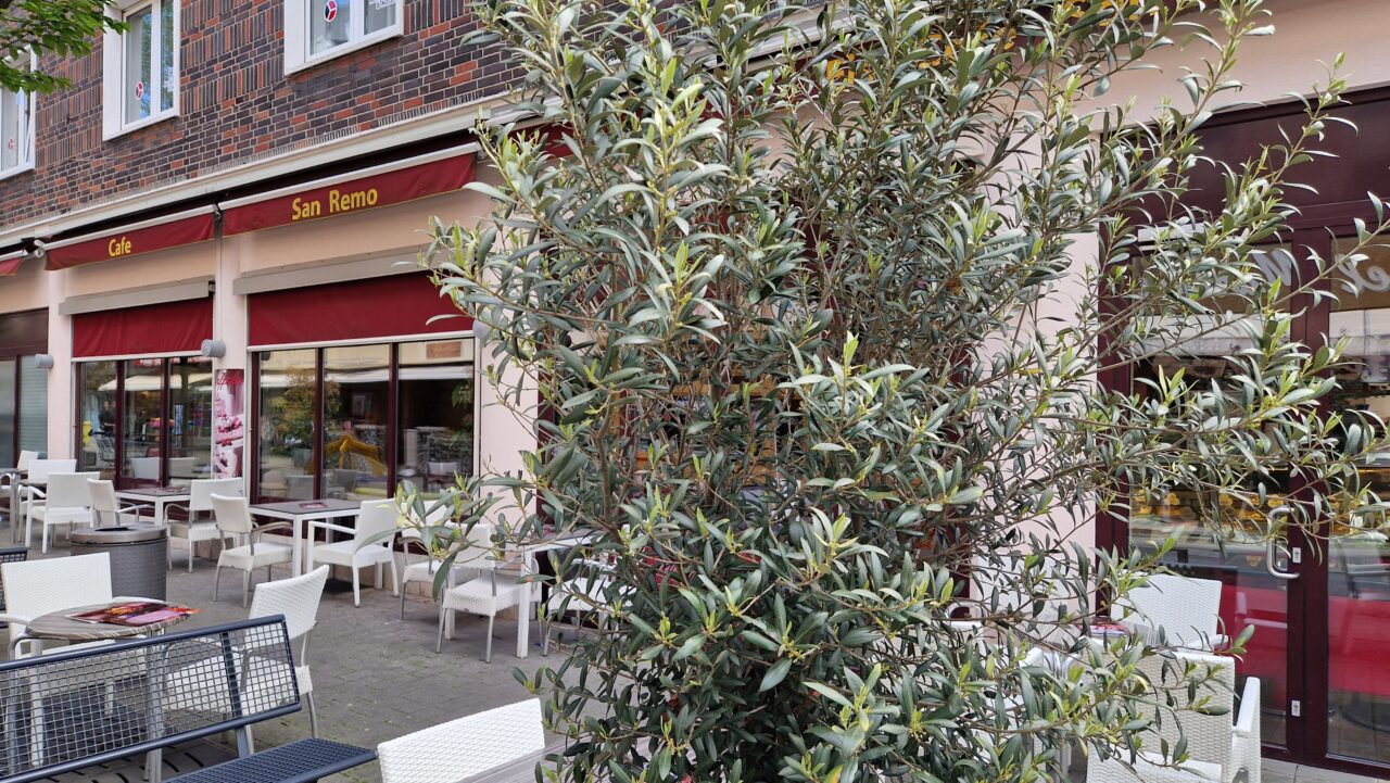 Eiscafé San Remo, Bottrop: