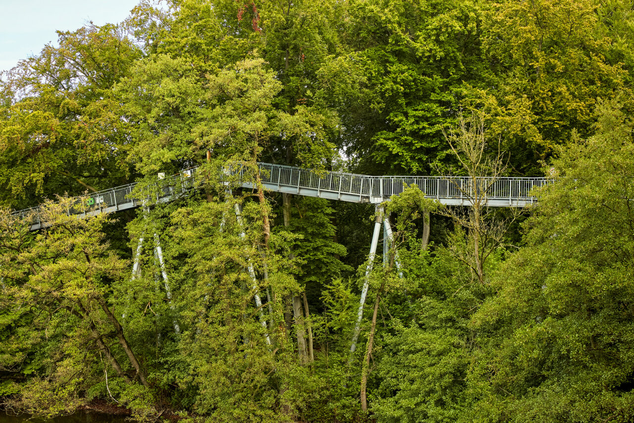 Freizeitpark Schloss Beck Bottrop: Metallbrücke führt durch dichtes, grünes Blätterdach im Freizeitpark Schloss Beck Bottrop.