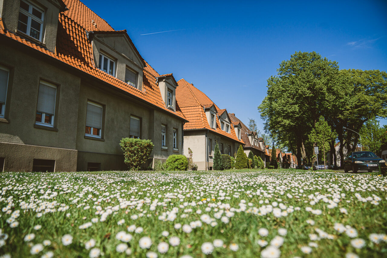 Gartenstadt Welheim, Bottrop: Das Bild zeigt eine historische Häuserzeile mit roten Dächern, eingebettet in eine blühende Wiese.