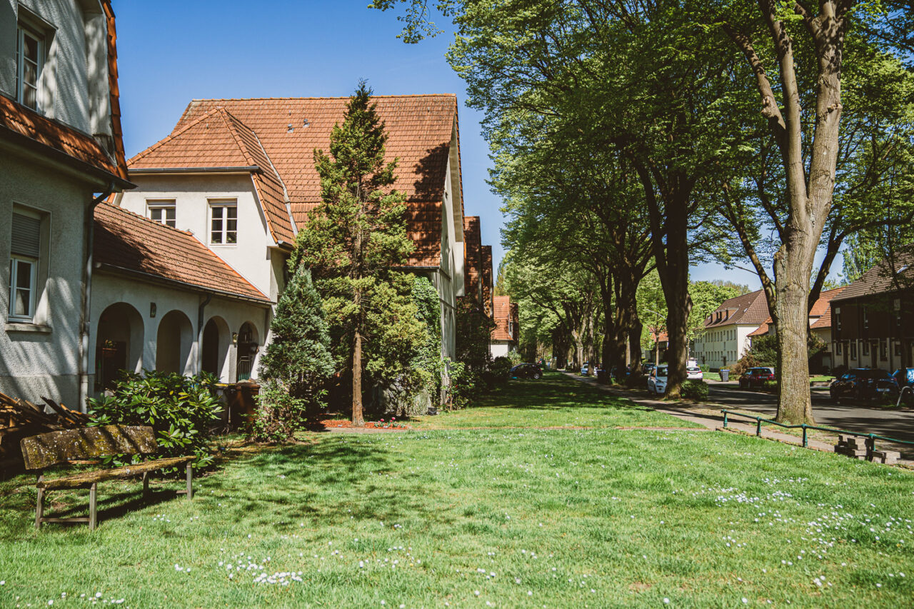 Gartenstadt Welheim, Bottrop: Grüne Allee mit historischen Häusern, Bäumen und Parkbank in ruhiger Wohngegend unter blauem Himmel.