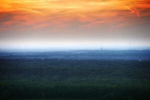 Halde Haniel, Bottrop: Waldlandschaft bei Sonnenuntergang, orangefarbener Himmel über dichter, grüner Waldfläche.