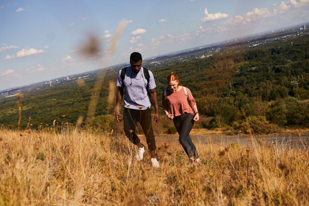 Halde Haniel, Bottrop: Halde Haniel, Bottrop