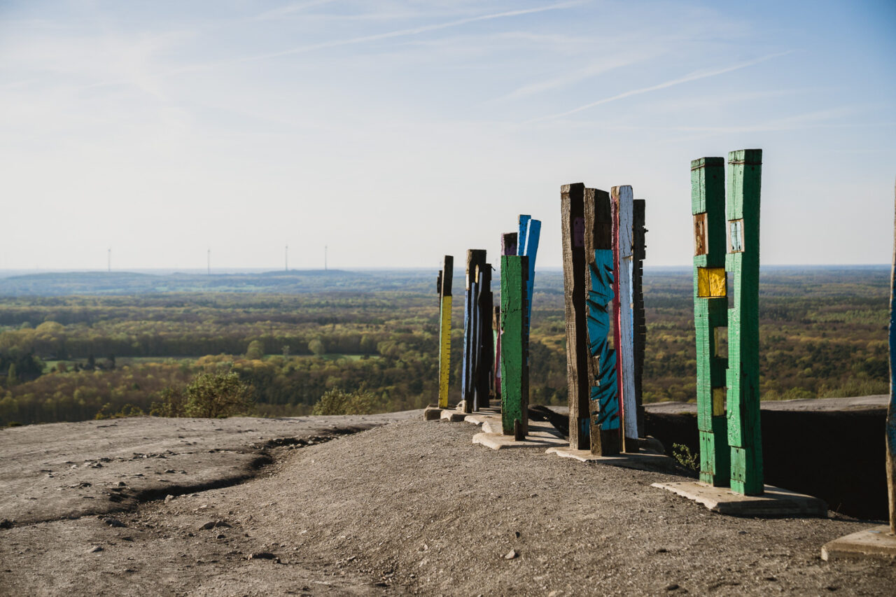 Halde Haniel, Bottrop: Bunte Holzstelen stehen auf einem Hügel und bieten einen weiten Blick über eine bewaldete Landschaft.