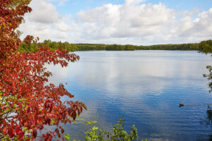 Heidesee Bottrop: Ein ruhiger See mit Enten, umgeben von herbstlichen Bäumen mit roten und grünen Blättern.
