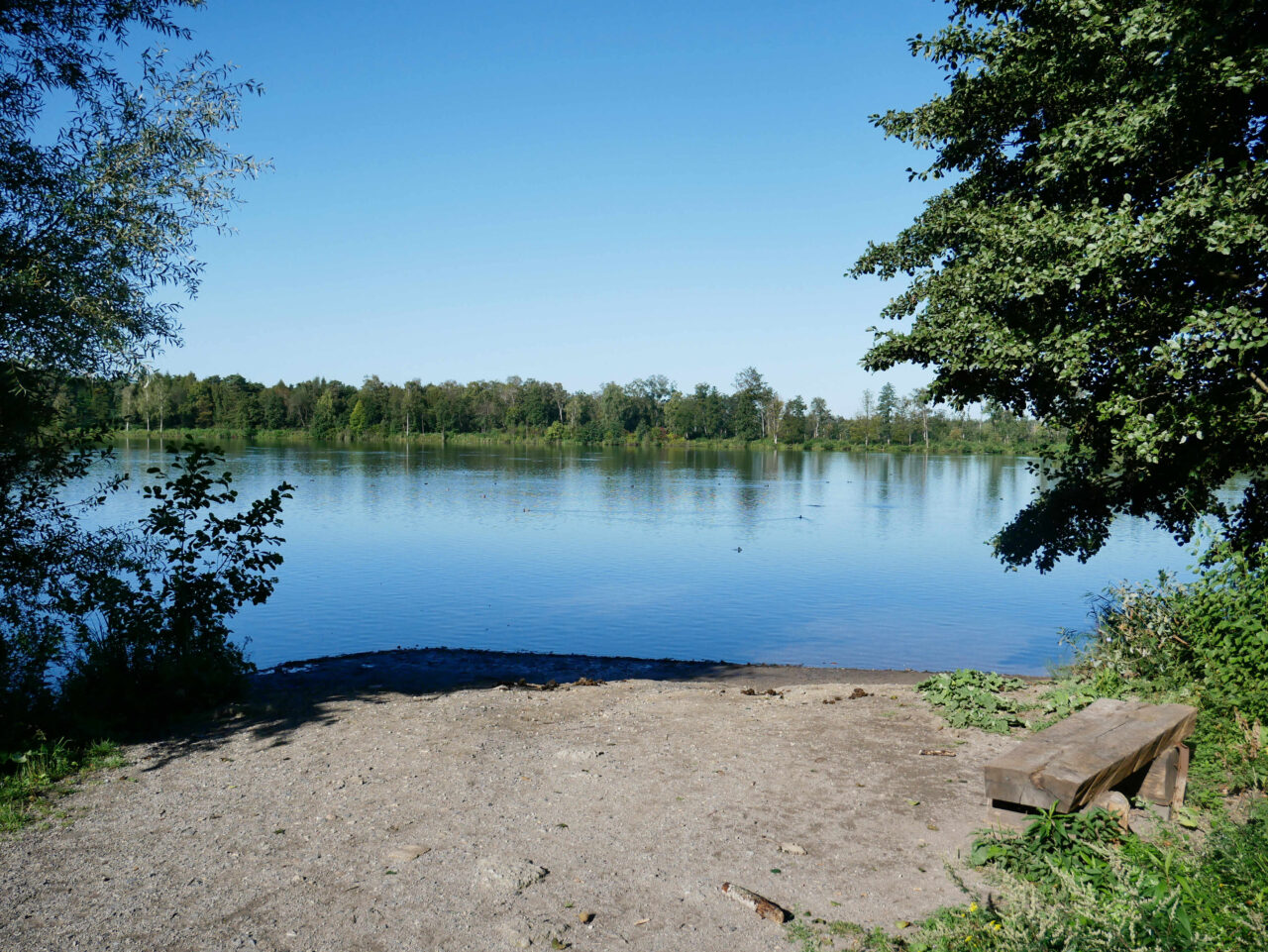 Heidesee, Bottrop: Blick auf den Heidesee in Bottrop mit klarem Wasser, umgeben von Bäumen und einer Holzbank am Ufer.