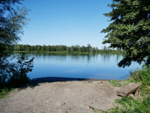 Heidesee, Bottrop: Blick auf den Heidesee in Bottrop mit klarem Wasser, umgeben von Bäumen und einer Holzbank am Ufer.