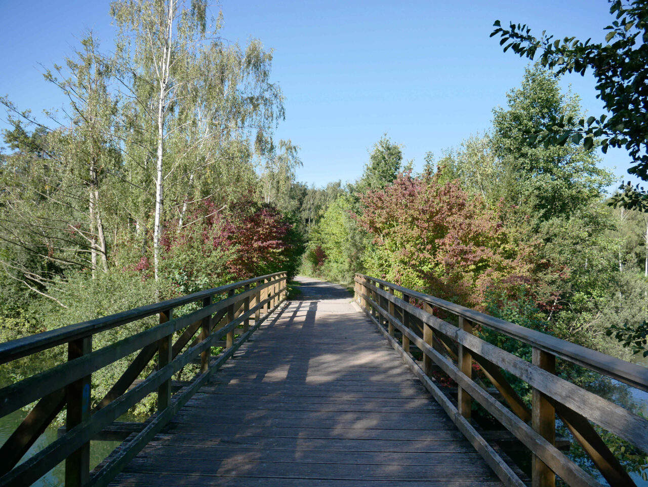 Heidesee, Bottrop: Holzbrücke über bewachsenem Uferbereich des Heidesees in Bottrop an einem klaren Sommertag.