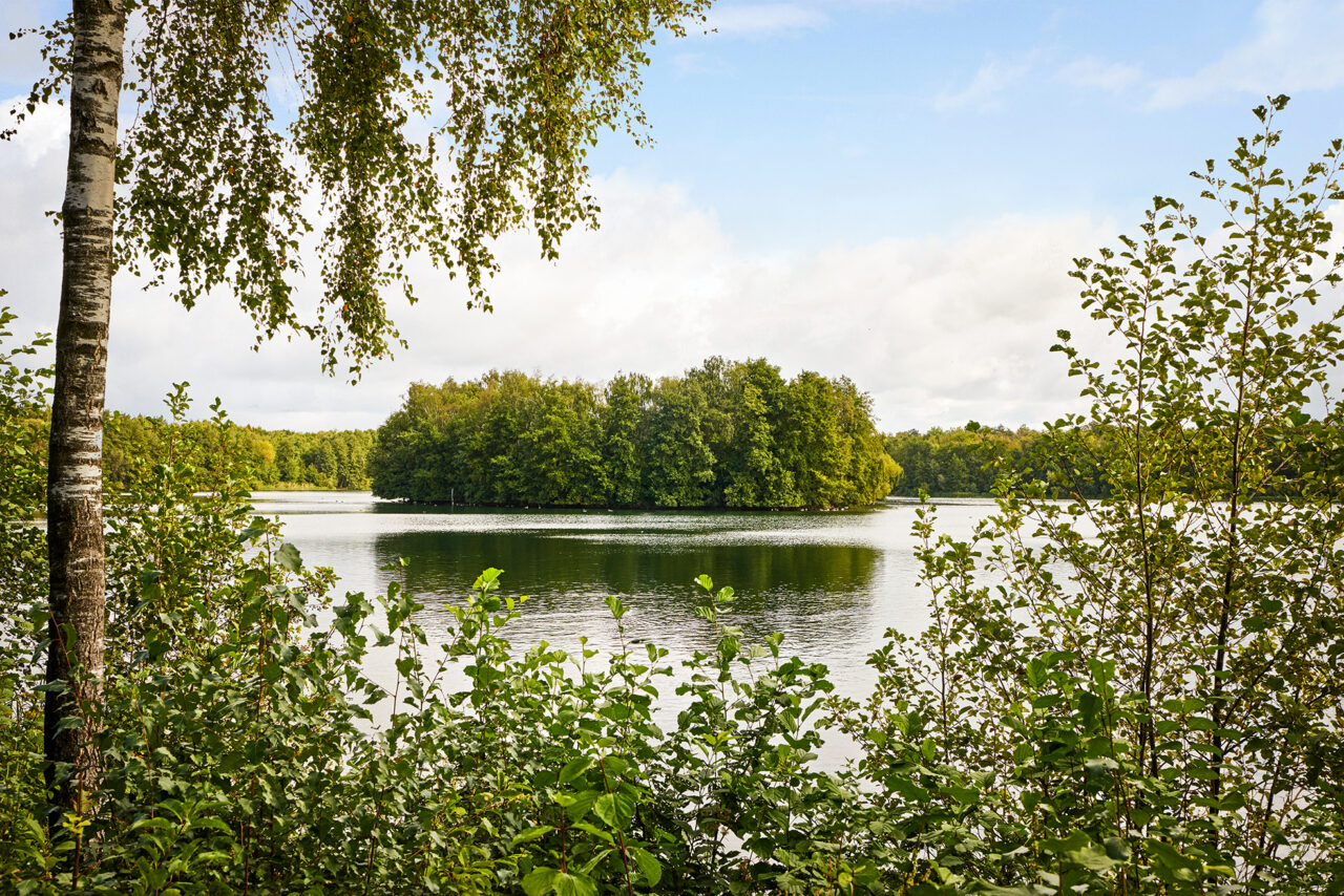 Heidesee Bottrop: Auf dem Bild ist ein ruhiger See mit grünen Bäumen an den Ufern zu sehen, eingefasst von Blättern im Vordergrund.