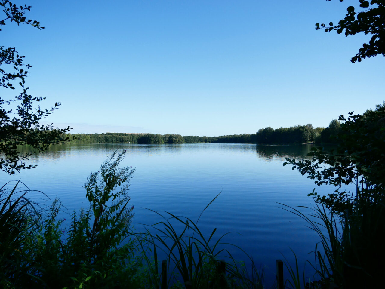 Heidesee, Bottrop: Ruhiger Heidesee in Bottrop mit spiegelglatter Wasseroberfläche, umgeben von dichtem Uferbewuchs.