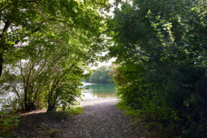 Heidesee, Bottrop: Pfad öffnet sich zu einem ruhigen, spiegelnden See, umrahmt von üppigem, grünem Laub.