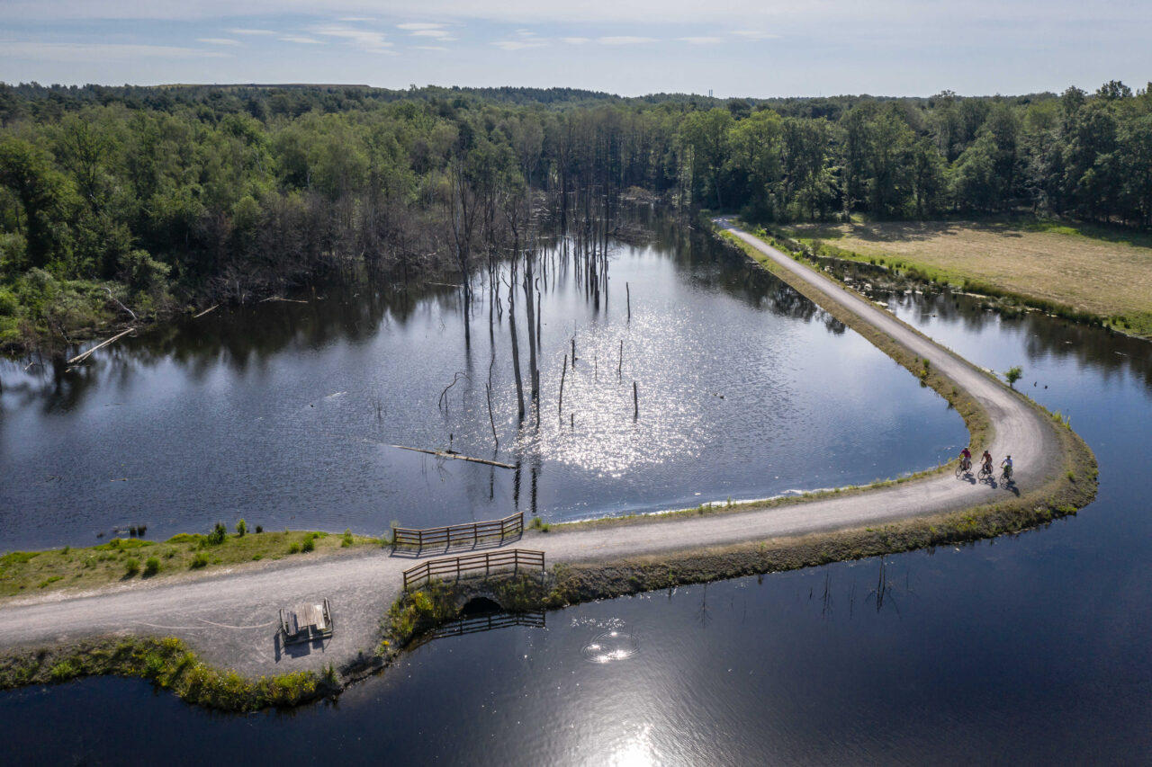 Kirchheller Heide, Bottrop, Pfingstsee, Radweg, Kirchheller Heide, Bottrop, Pfingstsee 1: Radweg am Pfingstsee in der Kirchheller Heide, umgeben von Wald und spiegelndem Wasser., Stillgewässer mit abgestorbenen Bäumen im Pfingstsee der Kirchheller Heide bei Bottrop.