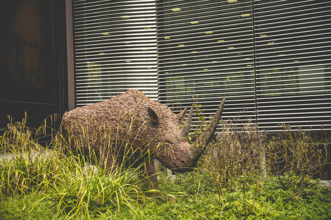 Museum Quadrat, Bottrop: Museum Quadrat, Bottrop