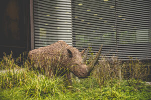 Museum Quadrat, Bottrop: Museum Quadrat, Bottrop
