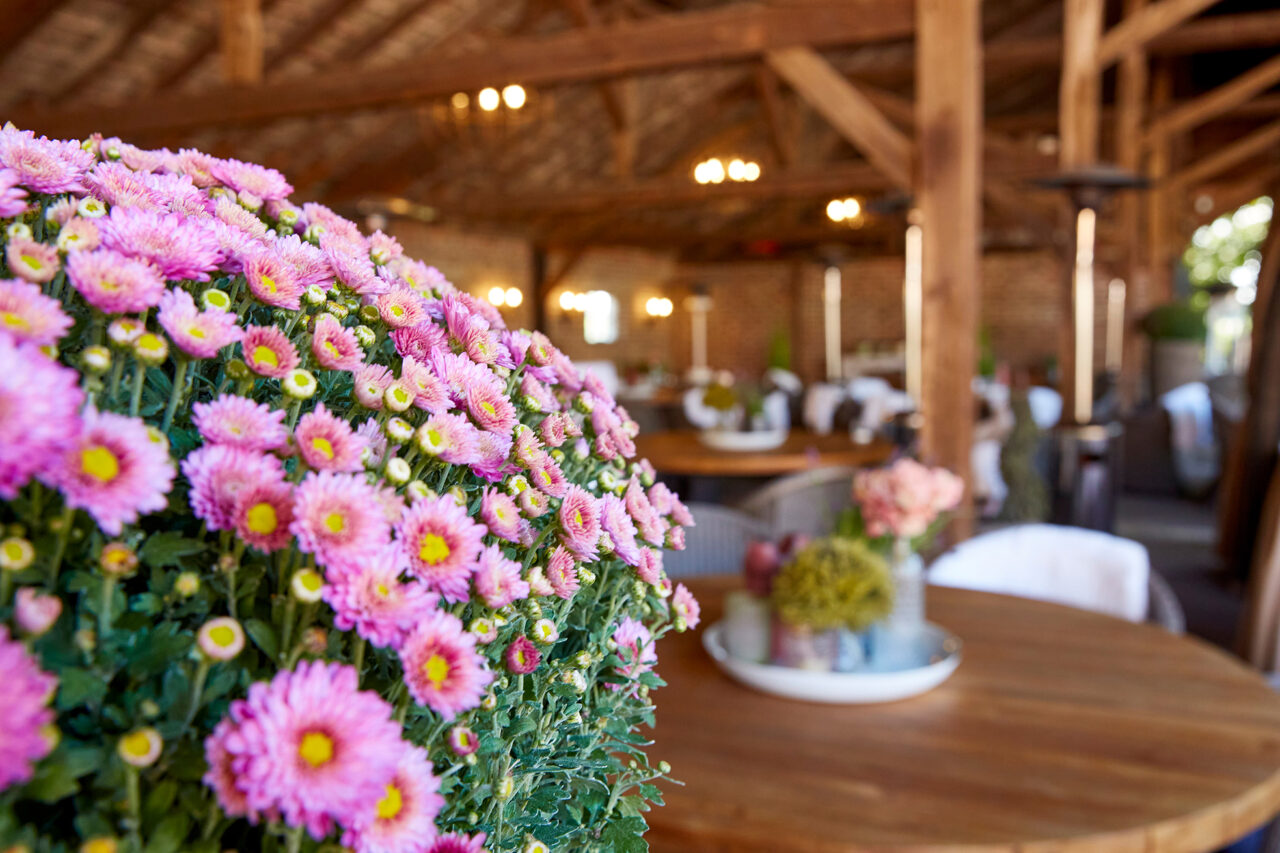 Schmücker Hof, Bottrop-Kirchhellen: Rustikaler Innenraum mit hölzernen Deckenbalken, runden Holztischen und blühenden pinken Blumen.