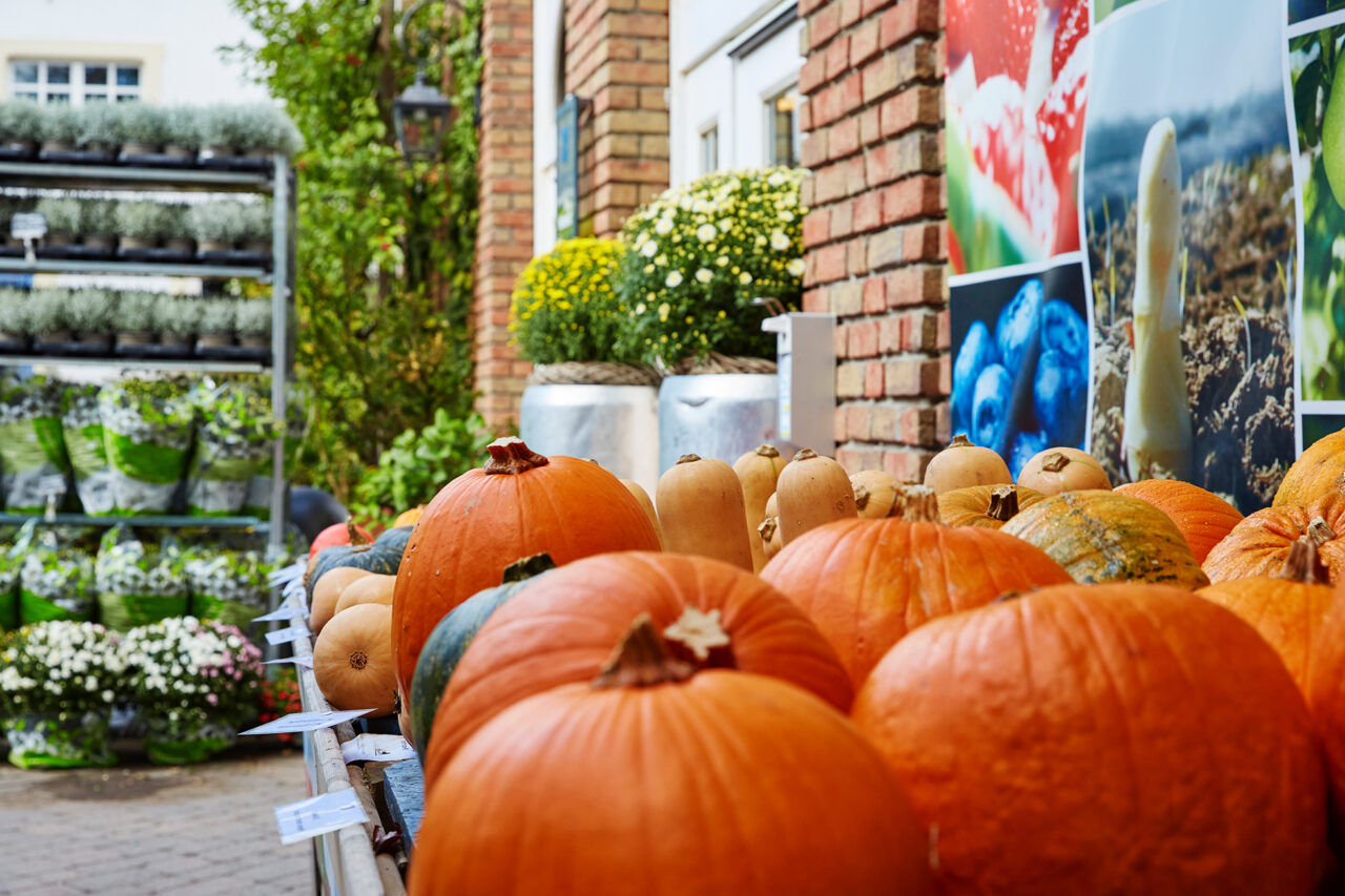 Schmücker Hof, Bottrop-Kirchhellen: Verkaufsstand mit Kürbissen, Pflanzen und Blumen vor dem Backsteingebäude des Schmücker Hofs.