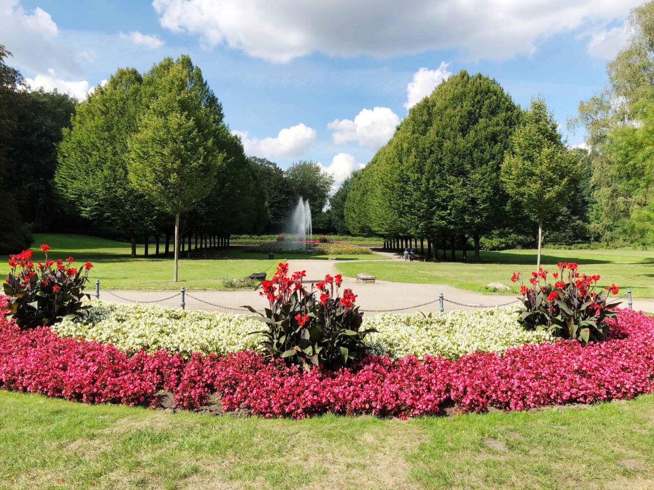 Stadtgarten, Bottrop: Blumenbeet mit roten und weißen Blüten vor einer Baumallee und einem Springbrunnen im Stadtgarten Bottrop