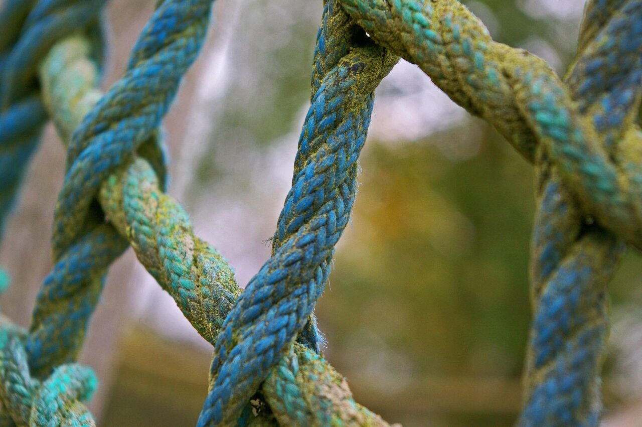 Stockfoto Callisthenics: