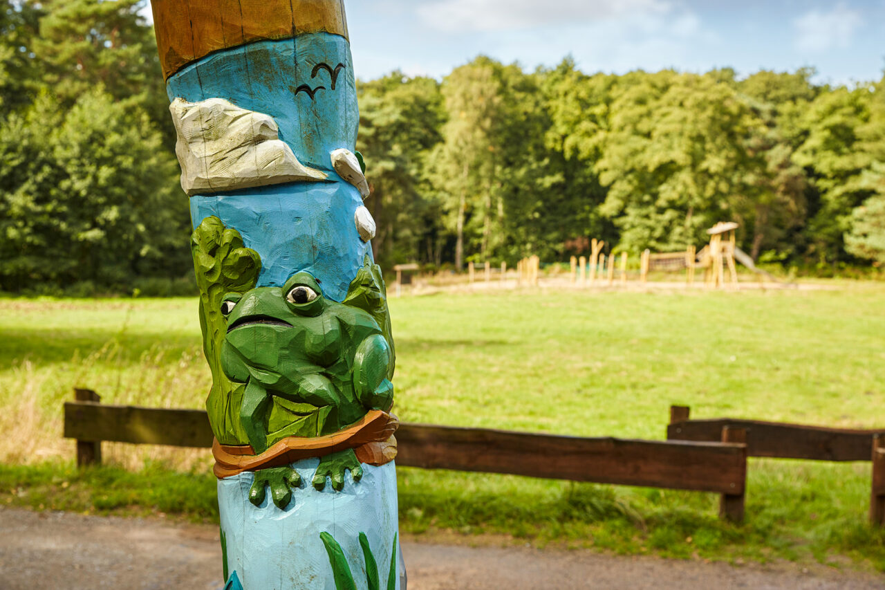Waldkompetenzzentrum Heidhof Bottrop: Detail einer geschnitzten Holzsäule mit Frosch vor einem Spielplatz in grüner Landschaft in Bottrop.