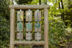 Waldkompetenzzentrum Heidhof Bottrop: Holzrahmen mit vier drehbaren Elementen zeigt Zeichnungen von Pflanzen im Wald, umgeben von Bäumen.